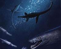 New ancient sea reptile found in Germany - The earliest of its kind