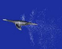 Ancient 4-flippered reptile flapped like a penguin