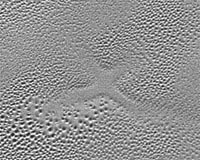 'X' Marks a Curious Corner on Pluto's Icy Plains