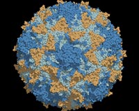 Chinese children given expired polio vaccines in latest scare