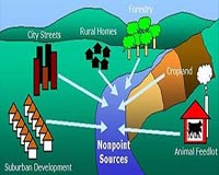 Homes Pollute Our Water