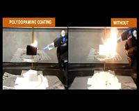 Flame retardant breakthrough is naturally derived and nontoxic