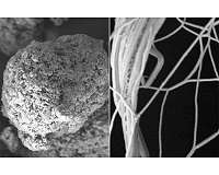 New polymer films conduct heat instead of trapping it