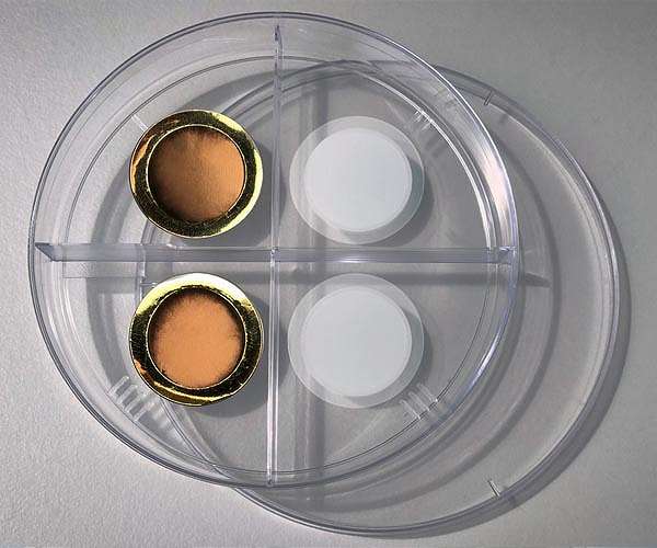A controllable membrane to pull carbon dioxide out of exhaust streams