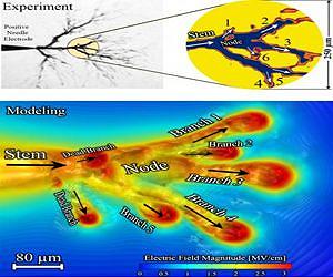 3-D models of electrical streamers