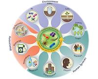 Berkeley Lab participates in new National Microbiome Initiative