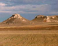 Mixed Prairie Grasses May Be Better Biofuel Source