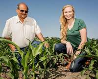 Corn better used as food than biofuel
