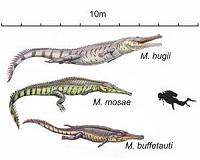 Prehistoric crocodiles' evolution mirrored in living species