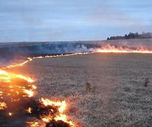 Grassroots approach to conservation developed