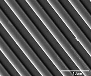 Scientists find a groovy way to influence specialization of stem cells