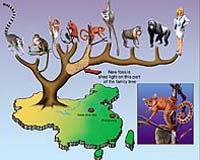 Teaching Evolution: Legal Victories Are Not Enough