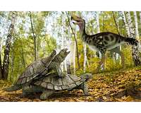 Extinct South American giant turtle had 10-foot-wide horned shell
