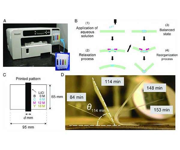 Printing self-folding paper structures for future mechatronics