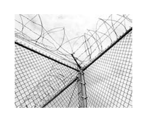 Hacker campaign targets US prison contractor