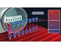 Spin Diagnostics