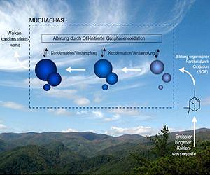 International research group shows that the aging of organic aerosols is caused by OH radicals