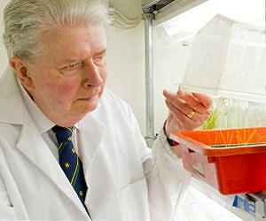 World changing technology enables crops to take nitrogen from the air