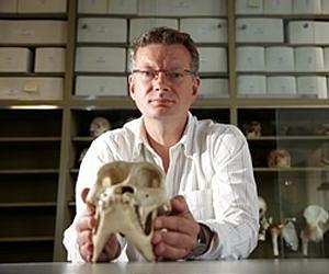 Brain frontal lobes not sole centre of human intelligence