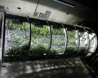 Lunar, Martian Greenhouses Designed to Mimic Those on Earth
