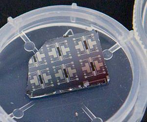Synaptic transistor learns while it computes