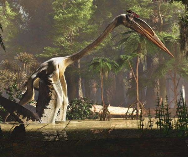 Fleshing out the bones of Quetzalcoatlus, Earth's largest flier ever