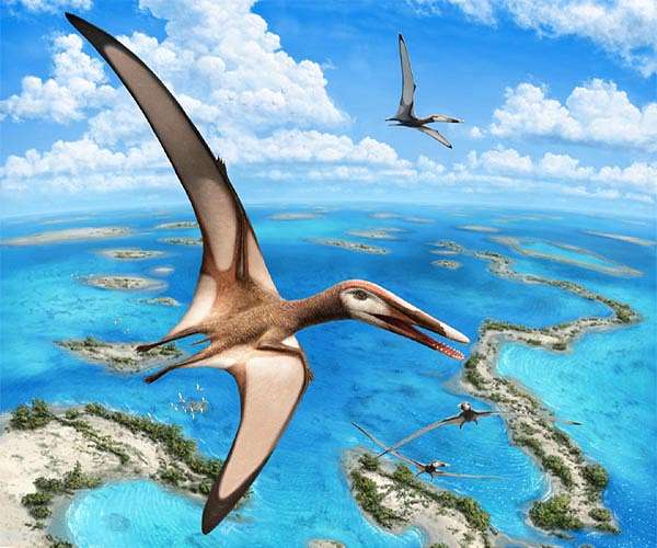 Giant lizards improved their flying abilities over millions of years