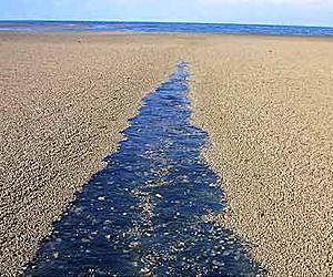 Bizarre rock 'ice shelf' found in Pacific