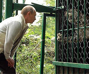 Putin's animal antics questioned in Russia