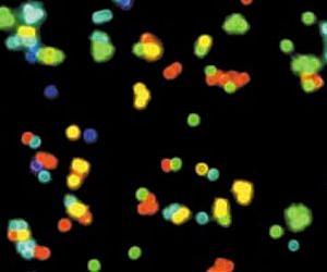 NREL and Partners Demonstrate Quantum Dots that Assemble Themselves