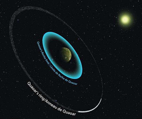 A new ring system discovered in our Solar System