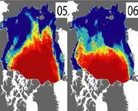 NASA Finds Arctic Replenished Very Little Thick Sea Ice in 2005