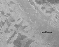 Heavy Metal Frost On Venus