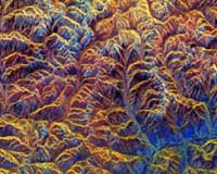 Tibetan tectonics trigger China quake: geologists