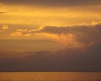 Fish living near the equator will not thrive in the warmer oceans of the future