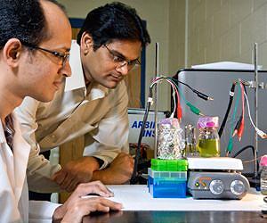 UGA researchers explore how to harvest electricity directly from plants