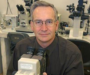 Research team collaborate to save the bacon