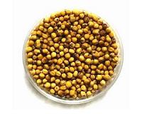 Fatty acids from GM oilseed crops could replace fish oil