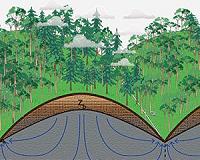 Seeing the bedrock through the trees