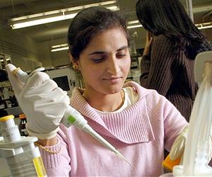 New Technique Improves Efficiency Of Biofuel Production