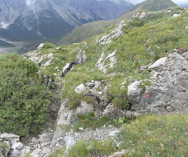 Seen from space, the snow-capped Alps are going green