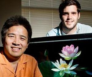 Sacred lotus genome sequence enlightens scientists