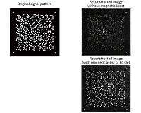 First step toward practical application of holographic memory with magnetic assist