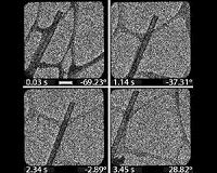 Electron tomography with 3,487 images in 3.5 seconds