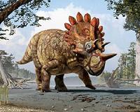 Ornamented heads drove arms race of giant dinosaur bodies