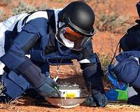 Iron 'whiskers' found covering Itokawa asteroid samples