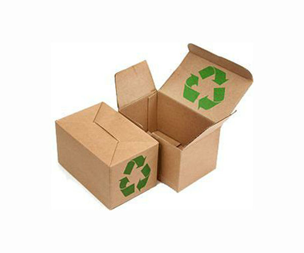 Cafe in Libya champions recycling and sustainability