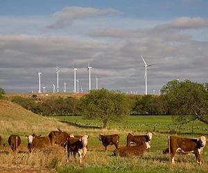 SA Opposition wind policy threatens $3 billion investment