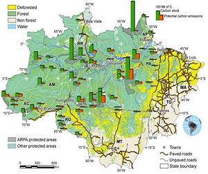 Forests Critical For Slowing Climate Change