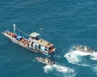 Police to investigate death of Manus asylum detainee